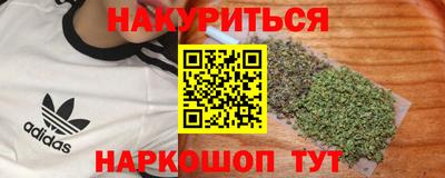 гидра Беслан