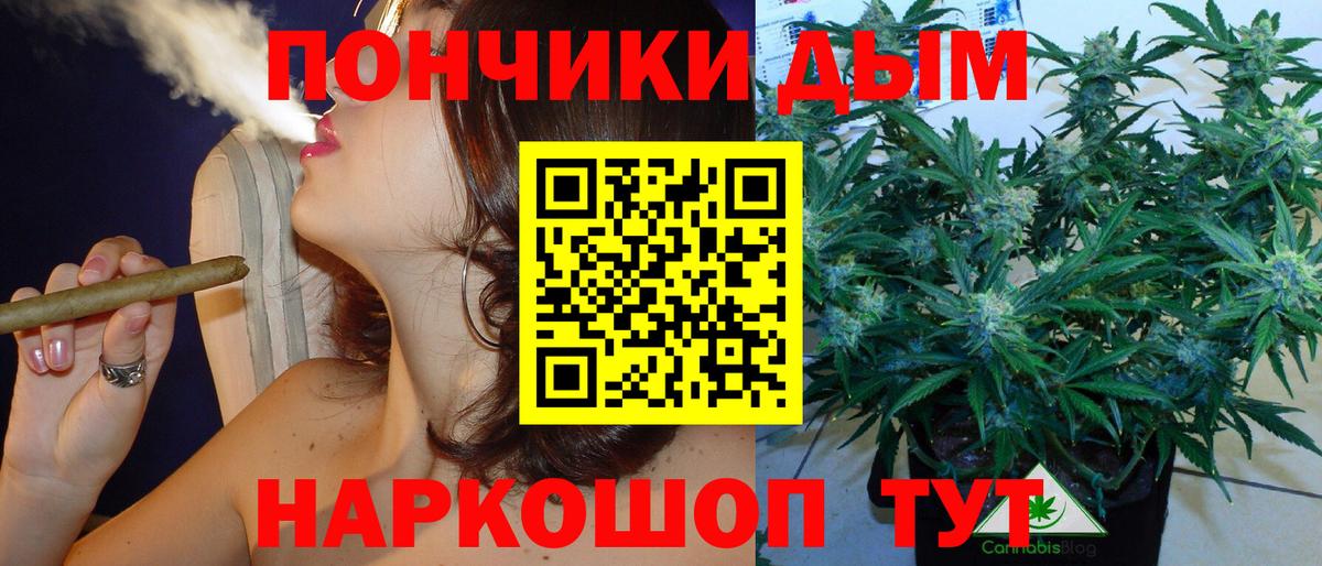 Киселёвск  Марихуана OG Kush  Каннабис Bruce Banner  Бошки марихуана тримм  Канабис семена  Вход с VPN 